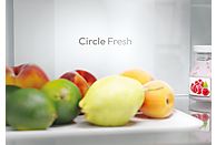 Frigorífico Combi Candy Fresco 300, 355 litros, Total No Frost, Blanco - Electrodomésticos Idea SL