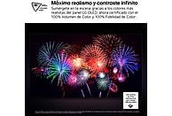 Televisor LG OLED55B56LA de 55 pulgadas 4K con Smart TV - Electrodomésticos Idea SL