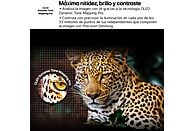 Televisor LG OLED55B56LA de 55 pulgadas 4K con Smart TV - Electrodomésticos Idea SL